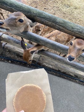 群馬サファリパークに投稿された画像（2023/8/25）