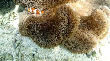 宮古島マリン GB QUESTに投稿された画像（2023/8/25）