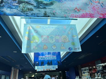 アクアワールド茨城県大洗水族館に投稿された画像（2023/8/25）