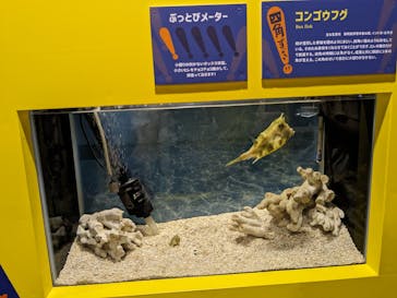 ぶっとんでるいきもの展に投稿された画像（2023/8/25）