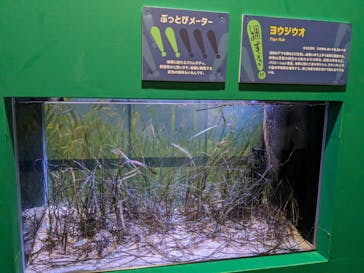 ぶっとんでるいきもの展に投稿された画像（2023/8/25）