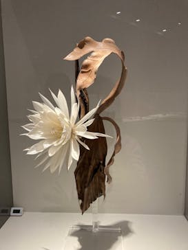 あべのハルカス美術館に投稿された画像（2023/8/25）