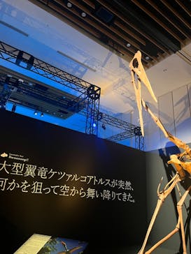 国立科学博物館に投稿された画像（2023/8/25）