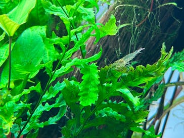 AOAO SAPPOROに投稿された画像（2023/8/25）