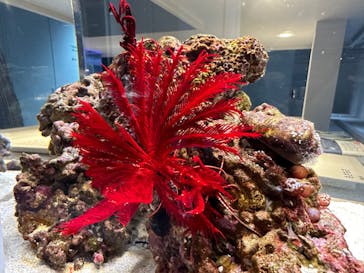 AOAO SAPPOROに投稿された画像（2023/8/25）