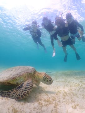 nico 宮古島に投稿された画像（2023/8/25）