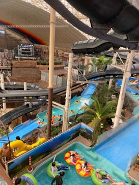 スパリゾートハワイアンズに投稿された画像（2023/8/25）