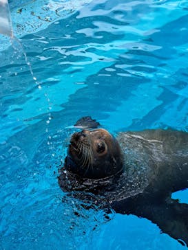マリンワールド海の中道に投稿された画像（2023/8/25）
