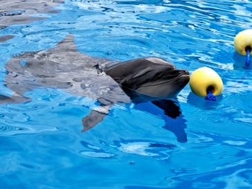 マリンワールド海の中道に投稿された画像（2023/8/25）