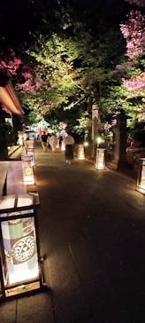 江の島シーキャンドルに投稿された画像（2023/8/25）