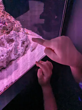 マクセル アクアパーク品川に投稿された画像（2023/8/25）