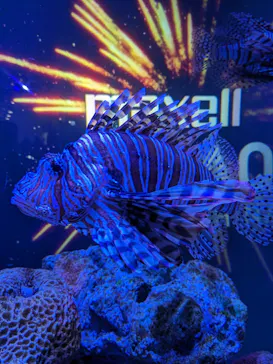 マクセル アクアパーク品川に投稿された画像（2023/8/25）