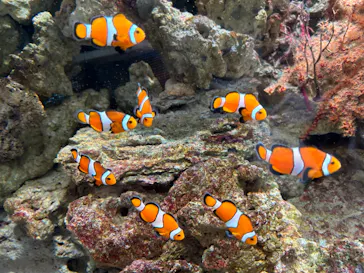 マクセル アクアパーク品川に投稿された画像（2023/8/25）