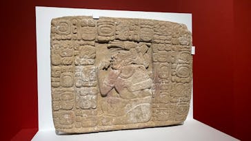 特別展「古代メキシコーマヤ、アステカ、テオティワカン」に投稿された画像（2023/8/25）