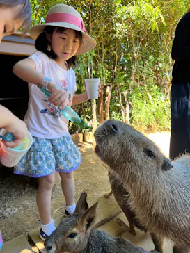 横浜・八景島シーパラダイスに投稿された画像（2023/8/25）