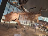 福井県立恐竜博物館に投稿された画像（2023/8/26）