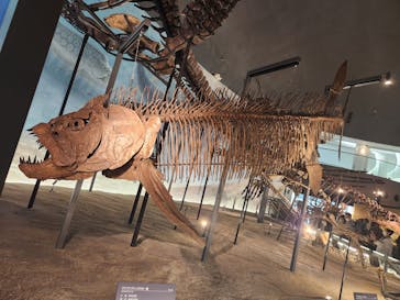 福井県立恐竜博物館に投稿された画像（2023/8/25）