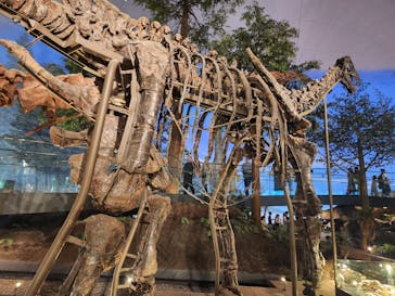 福井県立恐竜博物館に投稿された画像（2023/8/25）