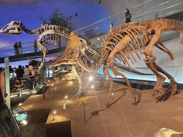 福井県立恐竜博物館に投稿された画像（2023/8/25）