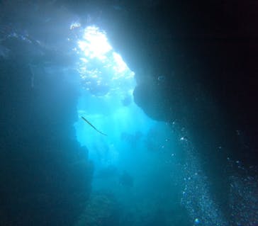 青の洞窟専門店　沖縄ダイビングショップ和に投稿された画像（2023/8/25）