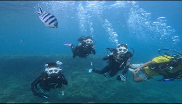 青の洞窟専門店　沖縄ダイビングショップ和に投稿された画像（2023/8/25）