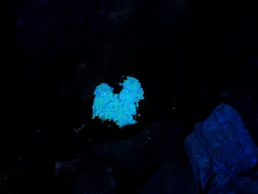 あぶくま洞に投稿された画像（2023/8/25）