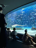 サンシャイン水族館に投稿された画像（2023/8/26）