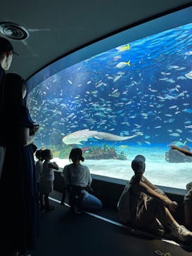 サンシャイン水族館に投稿された画像（2023/8/25）