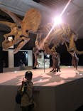 DinoScience 恐竜科学博 2023@TOKYO MIDTOWNに投稿された画像（2023/8/26）