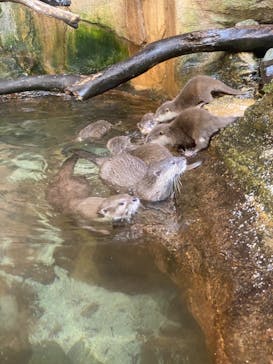 那須どうぶつ王国に投稿された画像（2023/8/25）