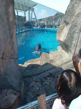 名古屋港水族館に投稿された画像（2023/8/25）