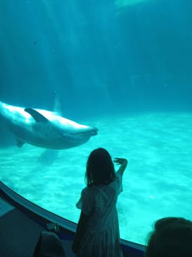 名古屋港水族館に投稿された画像（2023/8/25）
