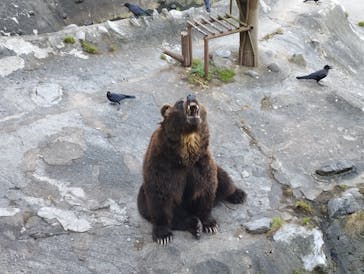 のぼりべつクマ牧場に投稿された画像（2023/8/25）