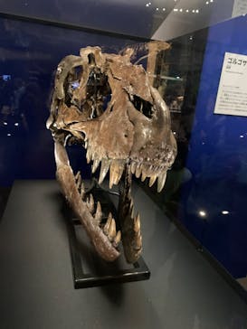 特別展「恐竜博2023」に投稿された画像（2023/8/26）