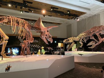 DinoScience 恐竜科学博 2023@TOKYO MIDTOWNに投稿された画像（2023/8/26）