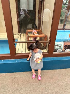 ゼロ距離水族館 伊勢シーパラダイスに投稿された画像（2023/8/26）