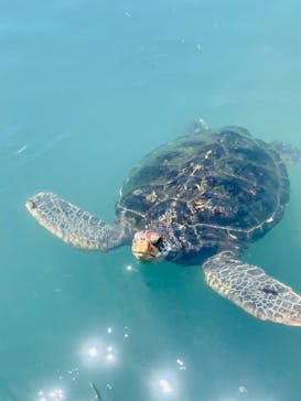 串本海中公園水族館に投稿された画像（2023/8/26）