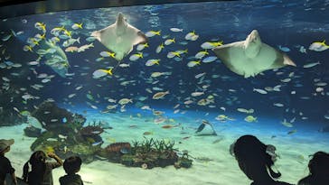 サンシャイン水族館に投稿された画像（2023/8/26）