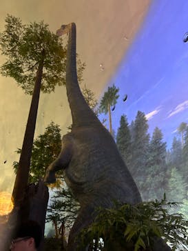 福井県立恐竜博物館に投稿された画像（2023/8/26）