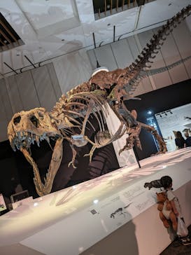 DinoScience 恐竜科学博 2023@TOKYO MIDTOWNに投稿された画像（2023/8/26）
