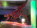 DinoScience 恐竜科学博 2023@TOKYO MIDTOWNに投稿された画像（2023/8/26）