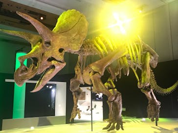 DinoScience 恐竜科学博 2023@TOKYO MIDTOWNに投稿された画像（2023/8/26）