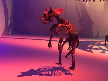 DinoScience 恐竜科学博 2023@TOKYO MIDTOWNに投稿された画像（2023/8/26）