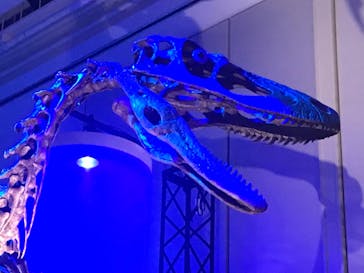 DinoScience 恐竜科学博 2023@TOKYO MIDTOWNに投稿された画像（2023/8/26）