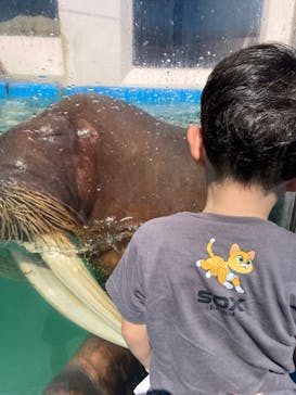 ゼロ距離水族館 伊勢シーパラダイスに投稿された画像（2023/8/26）