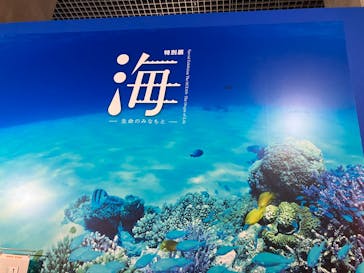 特別展「海　―生命のみなもと―」（国立科学博物館）に投稿された画像（2023/8/26）