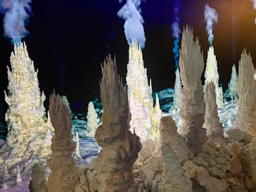 特別展「海　―生命のみなもと―」（国立科学博物館）に投稿された画像（2023/8/26）