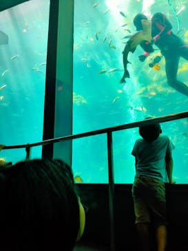 下田海中水族館に投稿された画像（2023/8/26）
