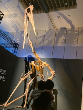 DinoScience 恐竜科学博 2023@TOKYO MIDTOWNに投稿された画像（2023/8/26）