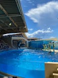新江ノ島水族館に投稿された画像（2023/8/26）